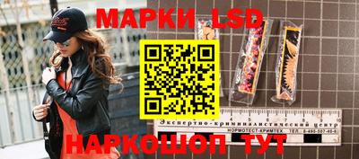 сатива Кингисепп