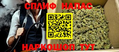 сатива Кингисепп