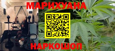 сатива Кингисепп