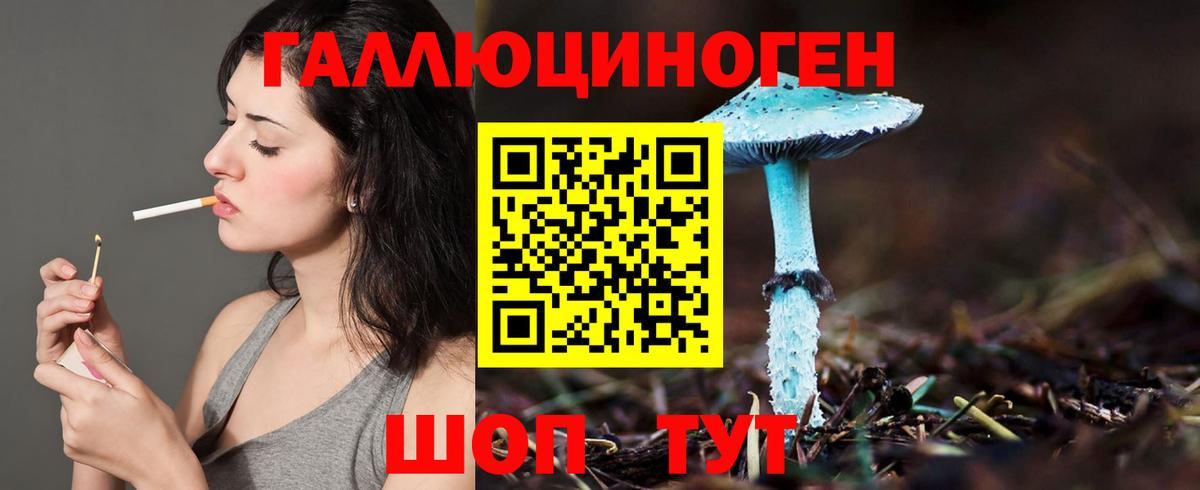 Псилоцибиновые грибы Magic Shrooms  Вход с VPN  Электрогорск 